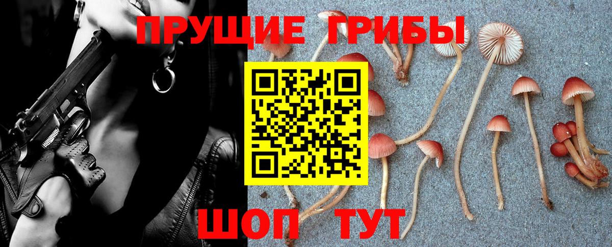 Минеральные Воды  Псилоцибиновые грибы мухоморы  Вход с VPN 